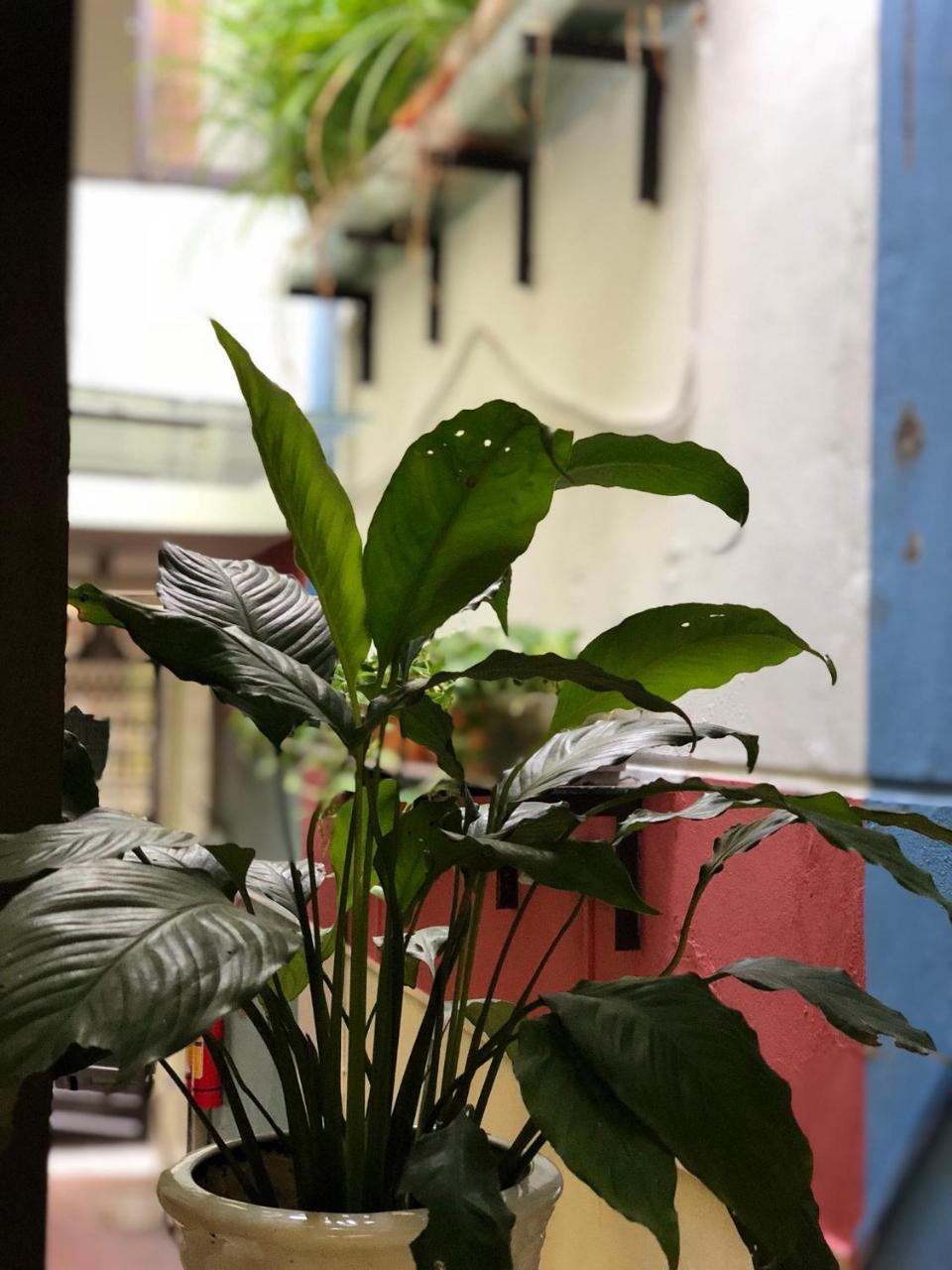Ventana House Appartement Hai Phong Buitenkant foto