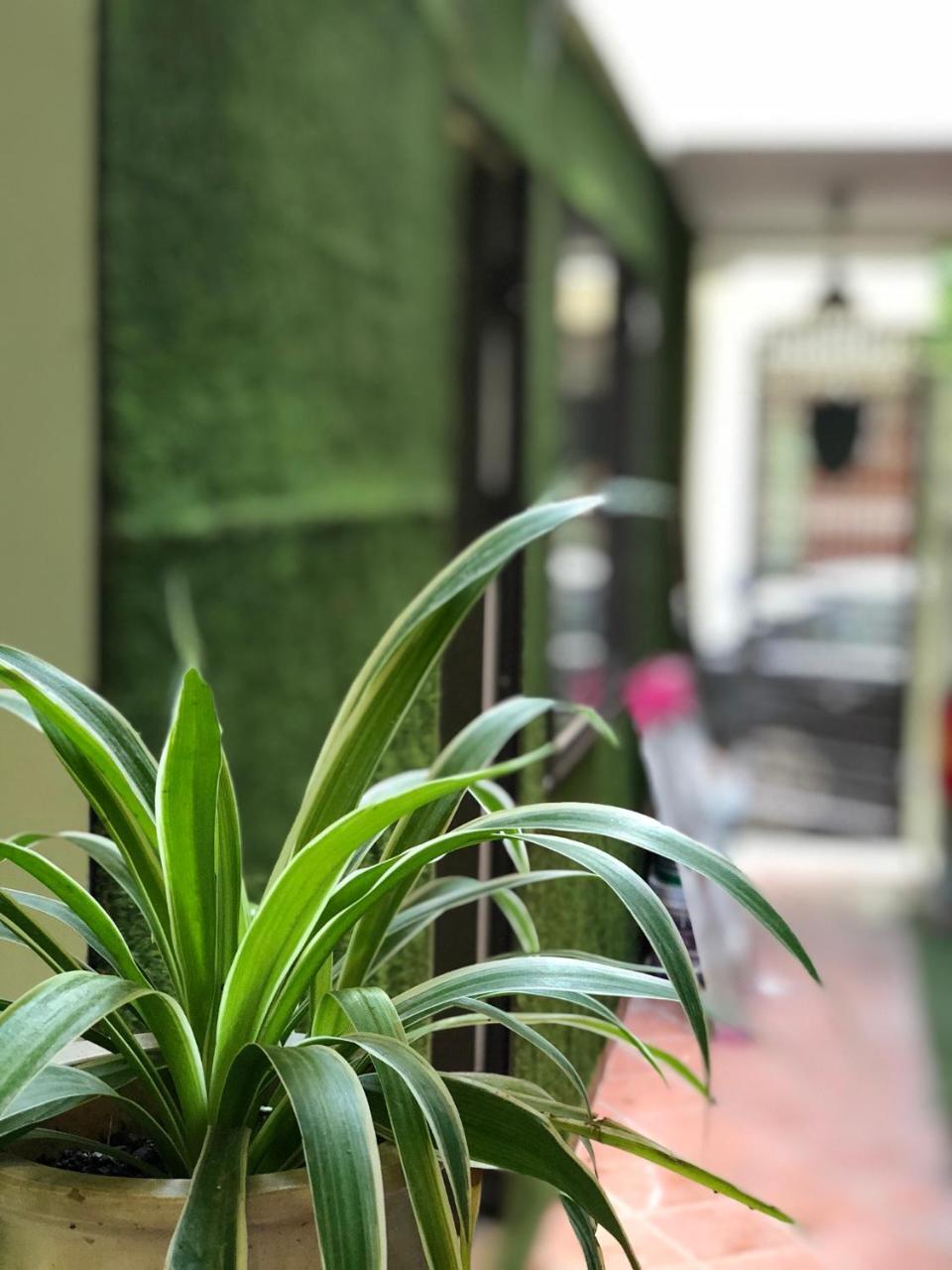 Ventana House Appartement Hai Phong Buitenkant foto